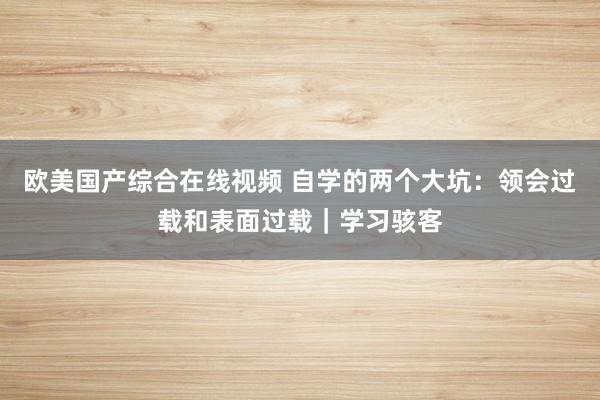欧美国产综合在线视频 自学的两个大坑：领会过载和表面过载｜学习骇客
